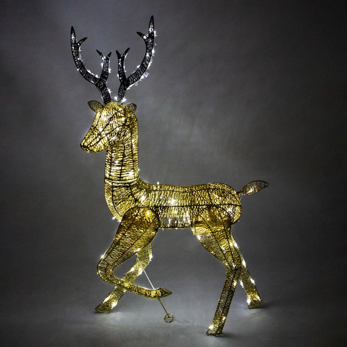 Christmas Light Up Reindeer Gold Stag & Doe Set