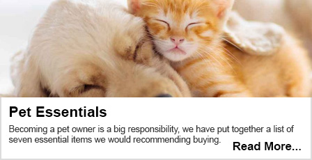 Read our Pet Essentials blog here.