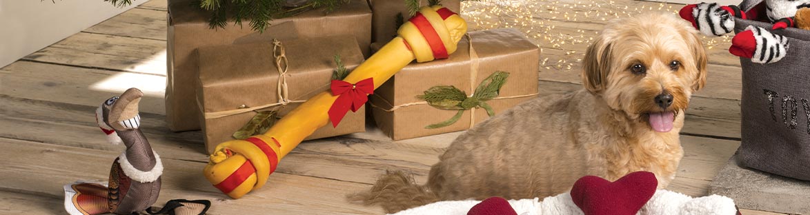 christmas presents for dogs - christmas presents for cats