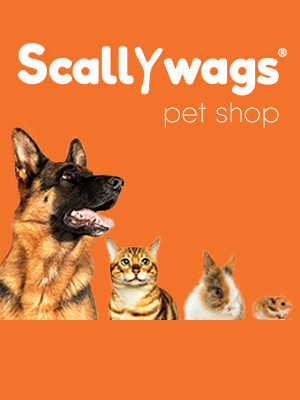 Treat Your Pets to the Best with Scallywags