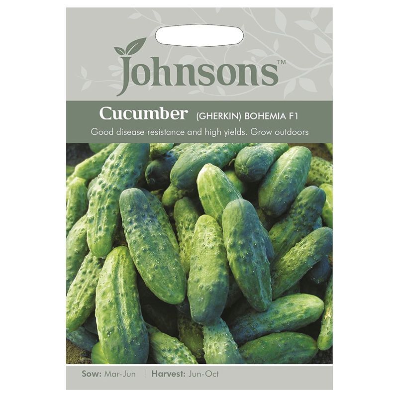 Johnsons Cucumber Gherkin Bohemia F1 Seeds