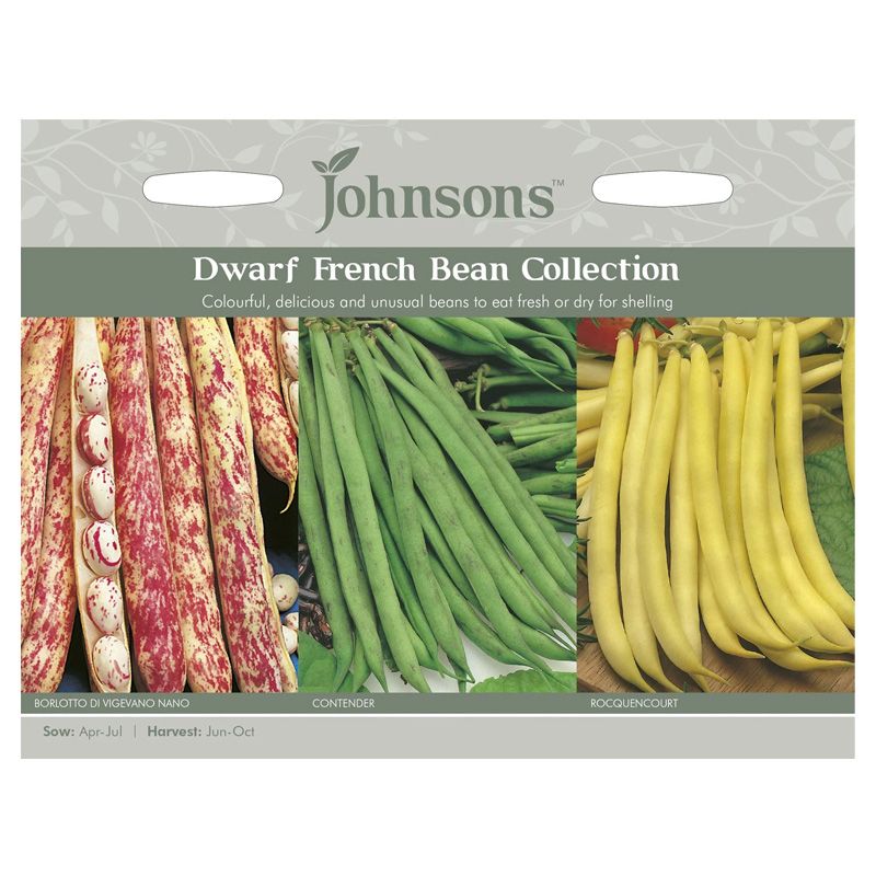 Johnsons Dwarf French Bean Collection Seeds