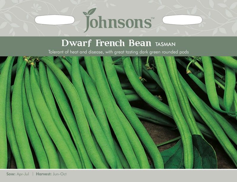 Johnsons Dwarf French Bean Tasman Seeds