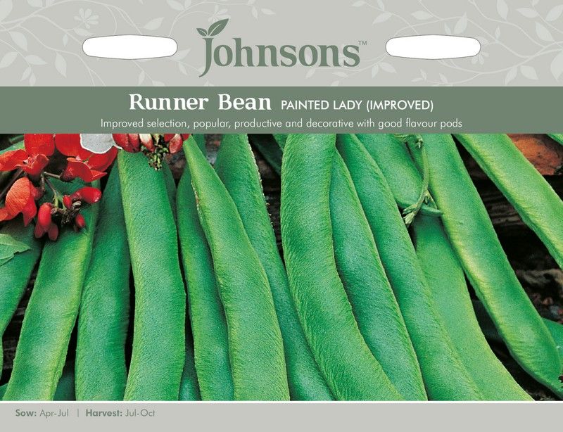 Johnsons Runner Bean Painted Lady (Improved) Seeds