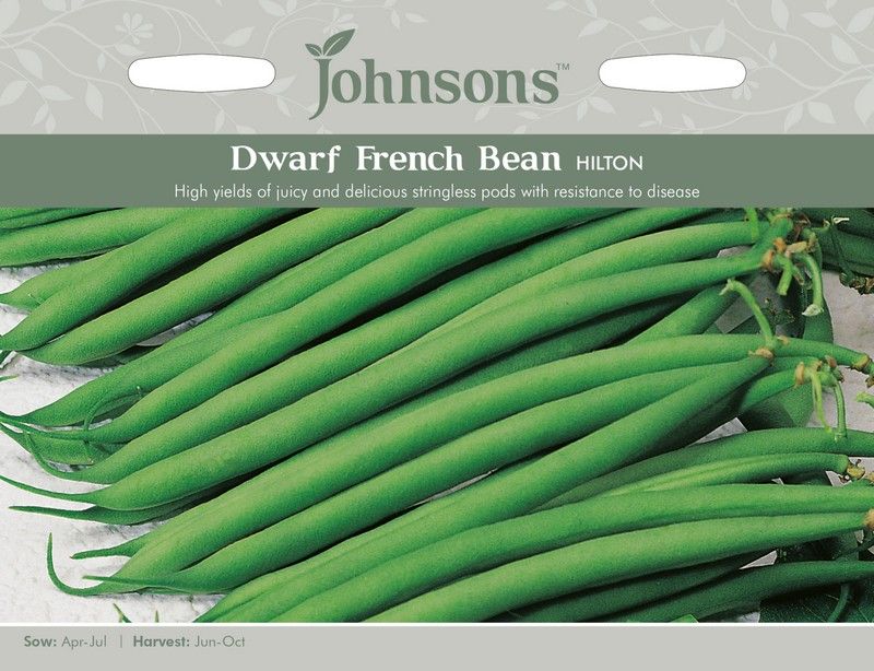 Johnsons Dwarf French Bean Hilton Seeds