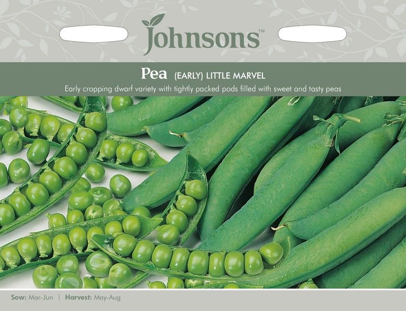 Johnsons Pea Early Little Marvel Seeds