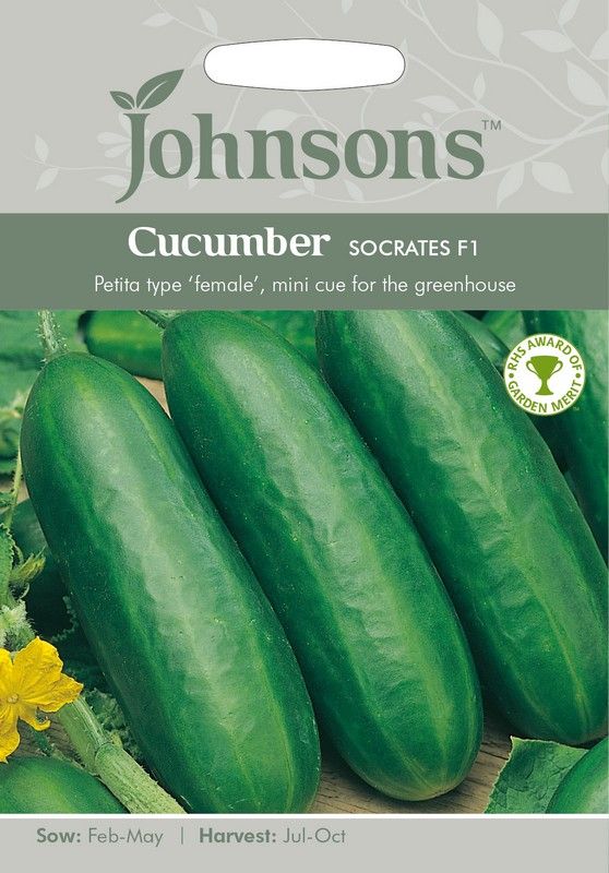 Johnsons Cucumber Socrates F1 Seeds