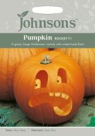 See more information about the Johnsons Pumpkin Rocket F1 Seeds