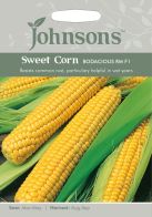See more information about the Johnsons Sweet Corn Bodacious RM Seeds