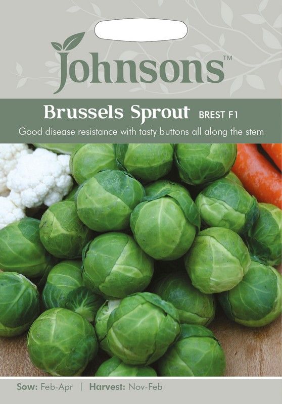 Johnsons Brussels Sprout Brest F1 Seeds