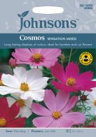 See more information about the Johnsons Cosmos Sensation Mixed Seeds