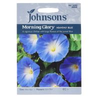See more information about the Johnsons Morning Glory Heavenly Blue Seeds