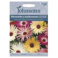 See more information about the Johnsons Mesembryanthemum Livings Seeds