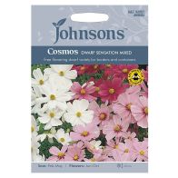 See more information about the Johnsons Cosmos Dwarf Sensation M Seeds