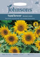See more information about the Johnsons Sunflower Pacino Gold Seeds