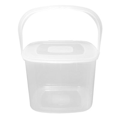 See more information about the Beaufort 6Lt Square Food Container With Handle