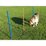 See more information about the Dog Agility Slalom Poles Pack 5 by Pet Brands