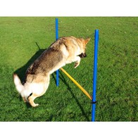 See more information about the Dog Agility Hurdle Jump by Pet Brands