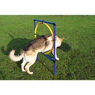 See more information about the Dog Agility Hood Jump by Pet Brands