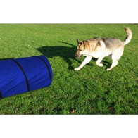 See more information about the Dog Agility Tunnel by Pet Brands