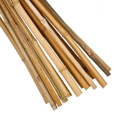 Product photograph of 15 Pack 4 Foot Garden Canes from QD stores