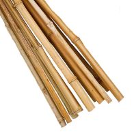 See more information about the 10 Pack 6 Foot Garden Canes
