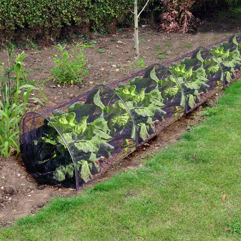 Growing Patch Grow Tunnel Netting Cover