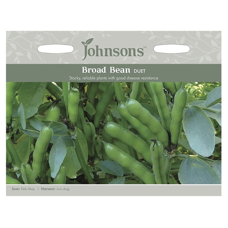 Johnsons Broad Bean Duet Seeds