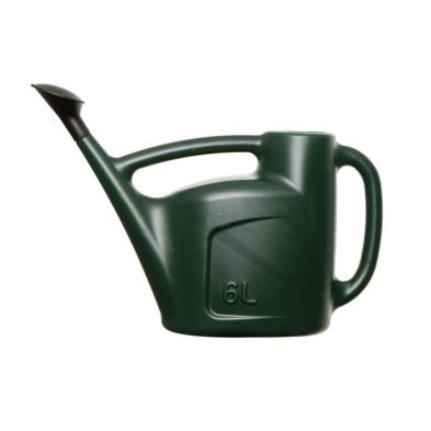 Product photograph of Green Watering Can 6 Litre from QD stores