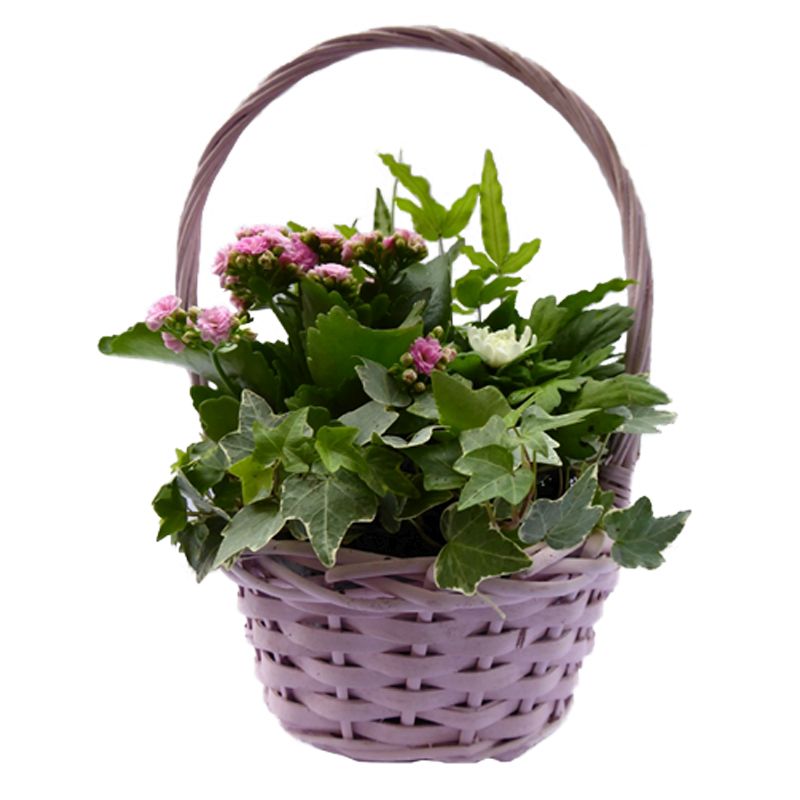 Thank You Mothersday Mum Flower Basket