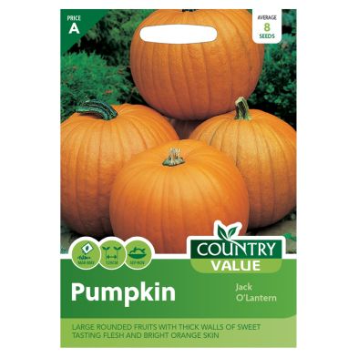 Country Value Pumpkin Jack Olantern Seeds