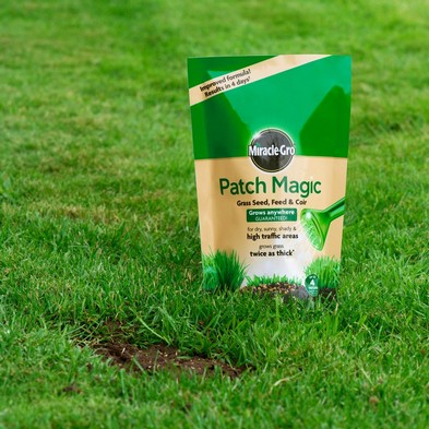 Product photograph of Miracle Gro 1 5kg Patch Magic Lawn Feed Seed from QD stores