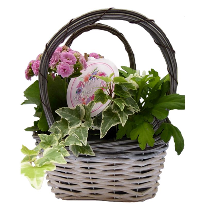 Mothersday Surprise Flower Basket