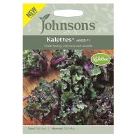 See more information about the Johnsons Kalettes Mixed F1 Seeds