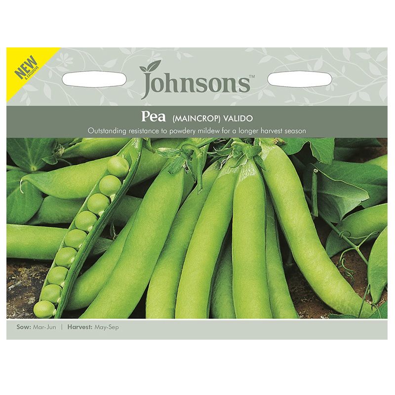 Johnsons Pea Valido Seeds