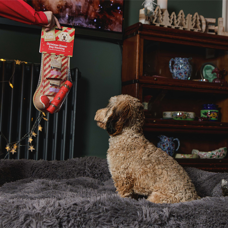 Dog Treats And Toys Christmas Dinner Stocking 120g