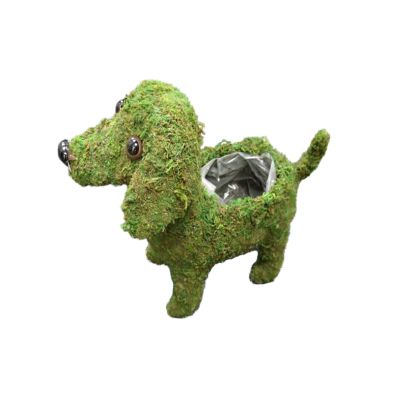 Moss Dog Planter