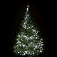 See more information about the Christmas Tree Fairy Lights Animated White Indoor 800 LED - 11m by Astralis