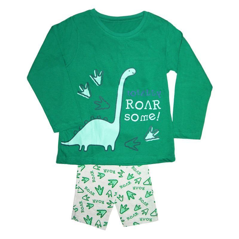 Boys Dinosaur Pyjamas Green & Grey 2-3 years