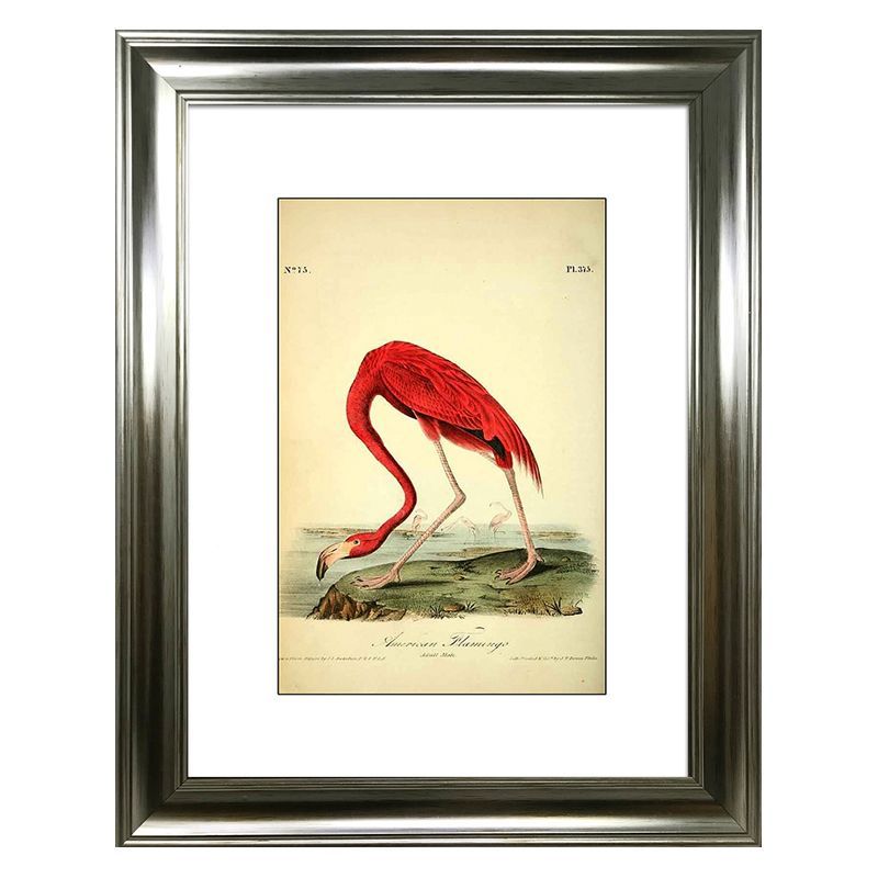 Tropical Birds American Flamingo Framed Print Wall Art 16 x 12 Inch