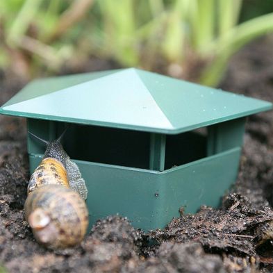Product photograph of Growing Patch 2 Pack Slug And Snail Traps from QD stores