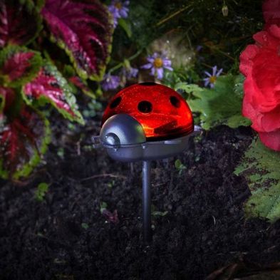 See more information about the Ladybird Stake Light Triple Pack