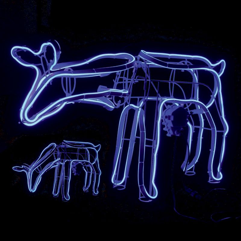 Blue Feeding Reindeer Rope Light 