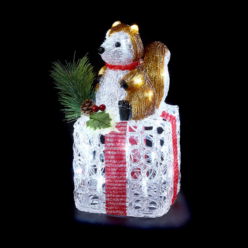 LED Light Up White Acrylic Gift With Squirrel Decoration