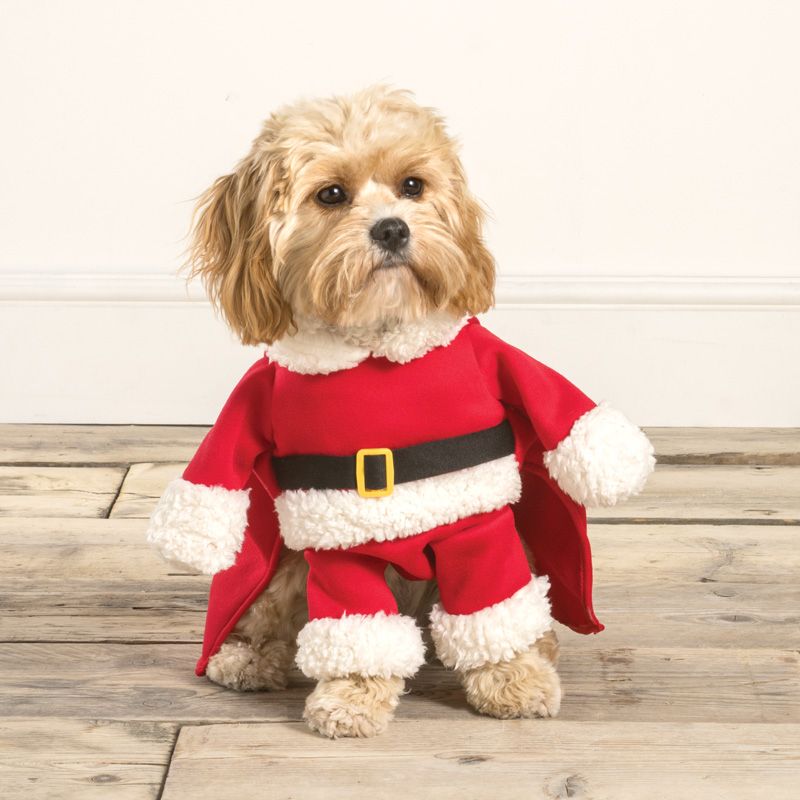 Dog Santa Suit Medium Size