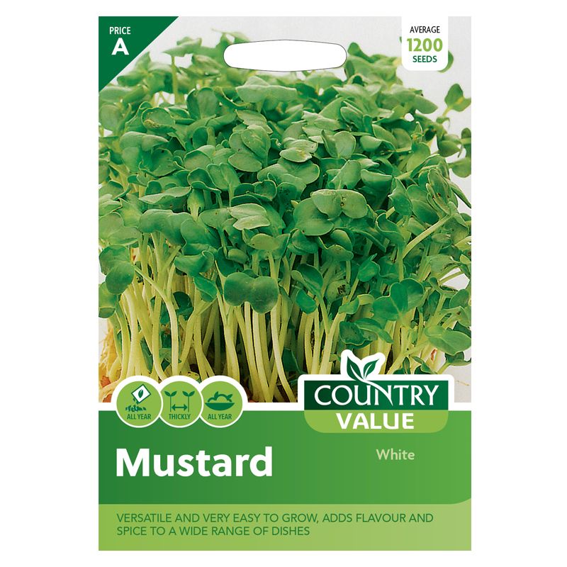 Country Value Mustard White Seeds