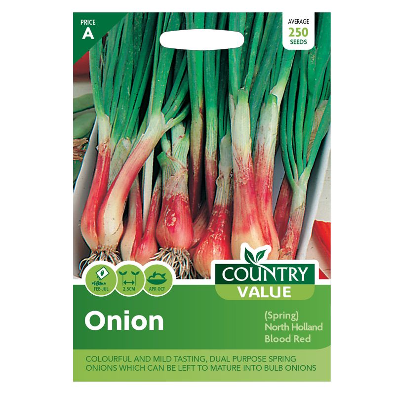 Country Value Onion Spring North Holland Blood Red Seeds