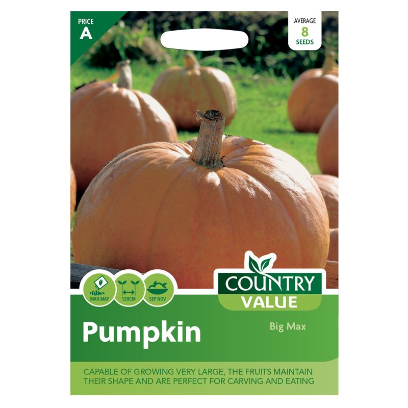 Country Value Pumpkin Big Max Seeds