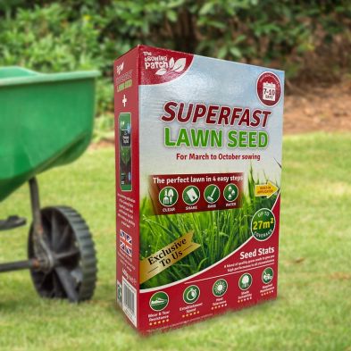 Product photograph of Superfast Lawn Seed 400g 27sqm from QD stores