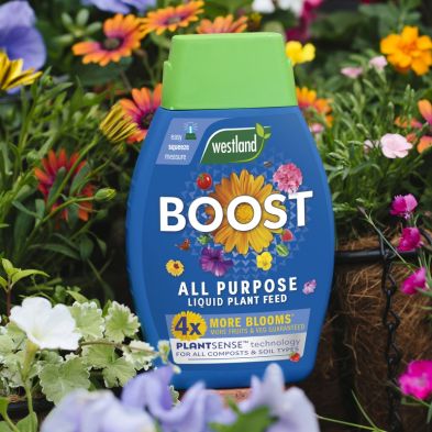 Product photograph of Westland Boost All Purpose Liquid Plant Feed - 1 Litre from QD stores